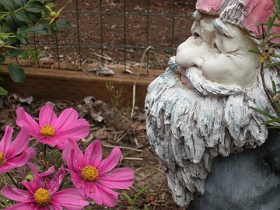 our garden gnome