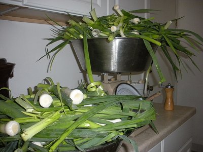 leeks for curious farm leek-horseradish sauerkraut
