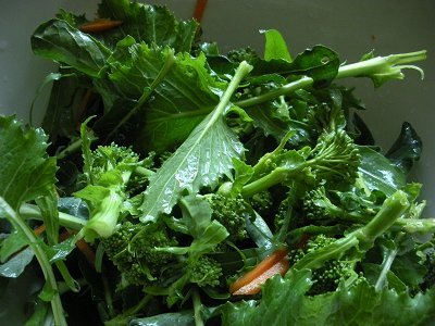 broccoli and mustard raab for kimchi