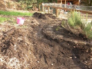 digging garden paths