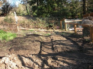 twobeds two planting beds