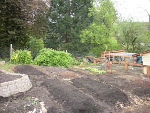 beds from another angle