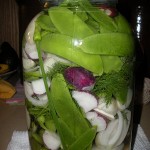 snow pea pickle
