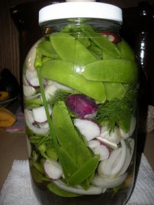 snow pea pickle