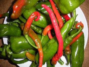 hot peppers from the garden
