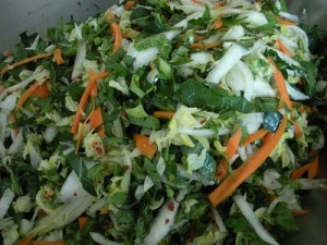 curious farm harvest kimchi