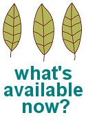 available now!