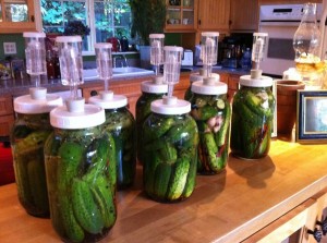 a student's pickle jars